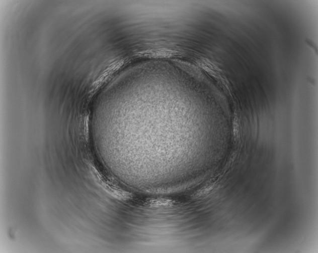 X0000100390206200806201721