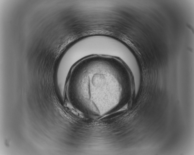 X0000100390207200806201721