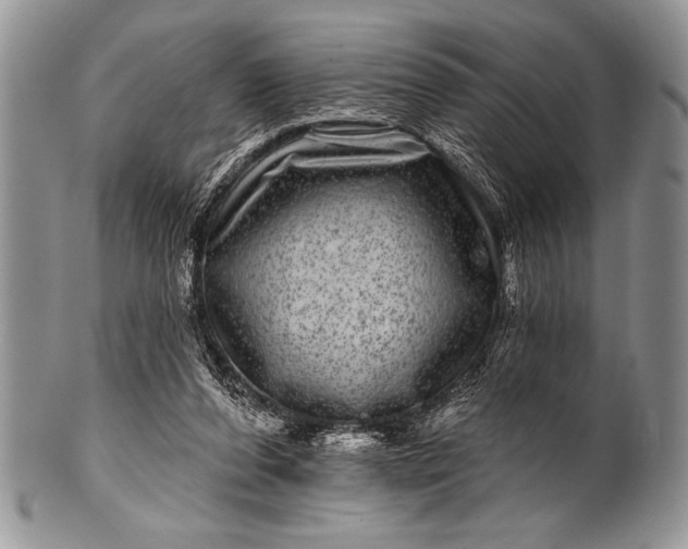 X0000100390208200806201721