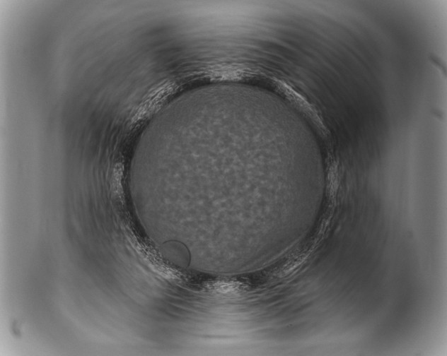 X0000100390209200806201721