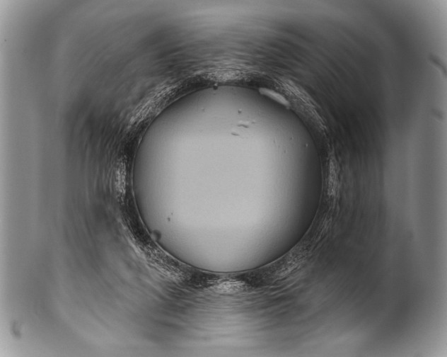 X0000100390210200806201721