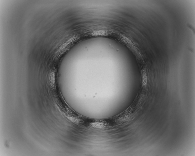 X0000100390211200806201721