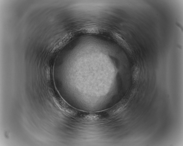 X0000100390213200806201721