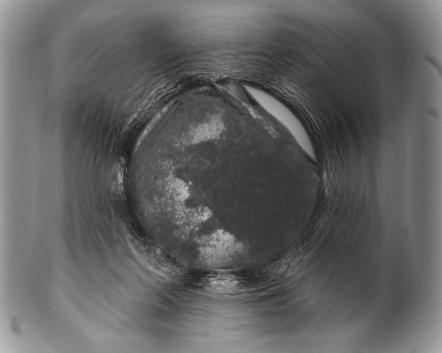 X0000100390214200806201721