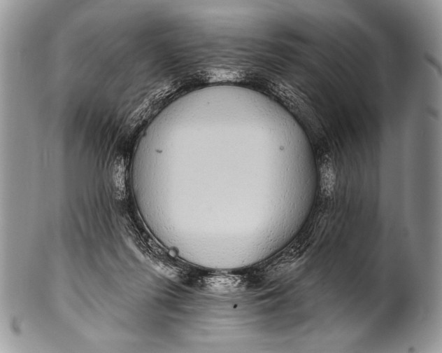 X0000100390215200806201721