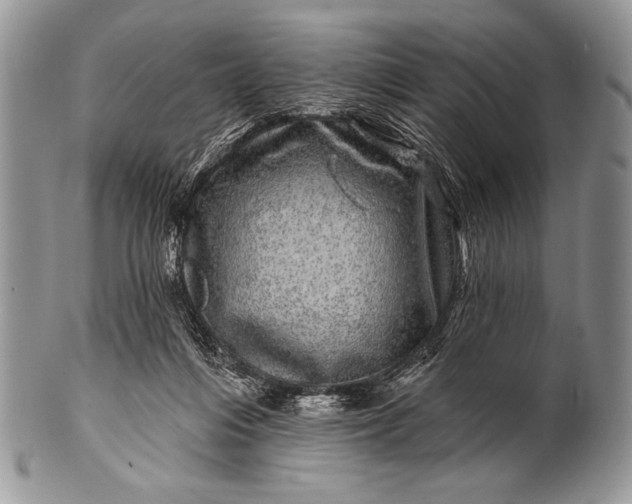 X0000100390216200806201721