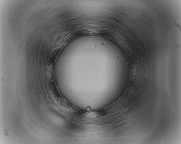 X0000100390218200806201721