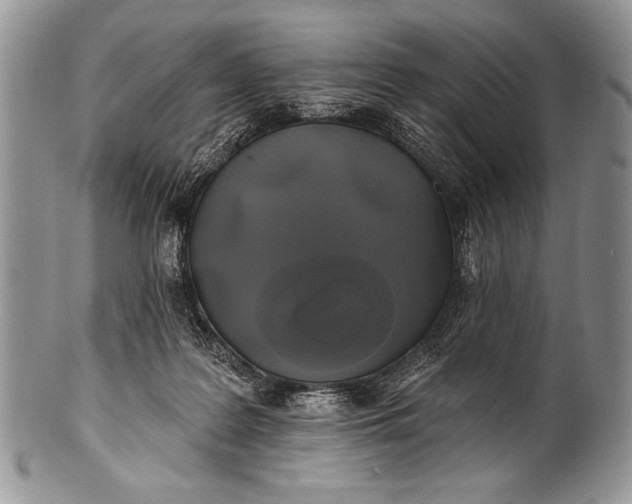 X0000100390219200806201721