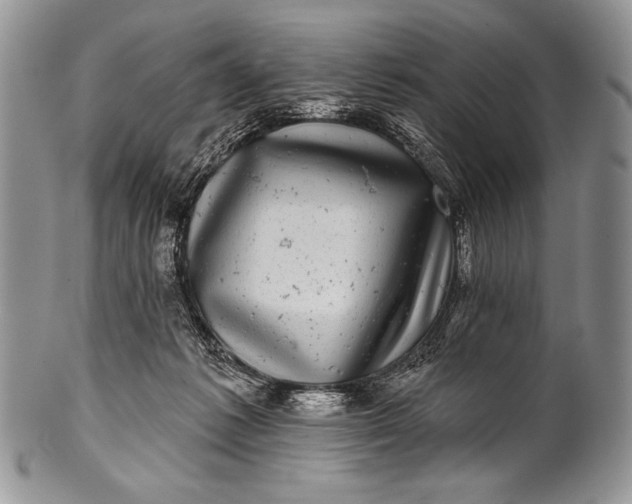 X0000100390221200806201721