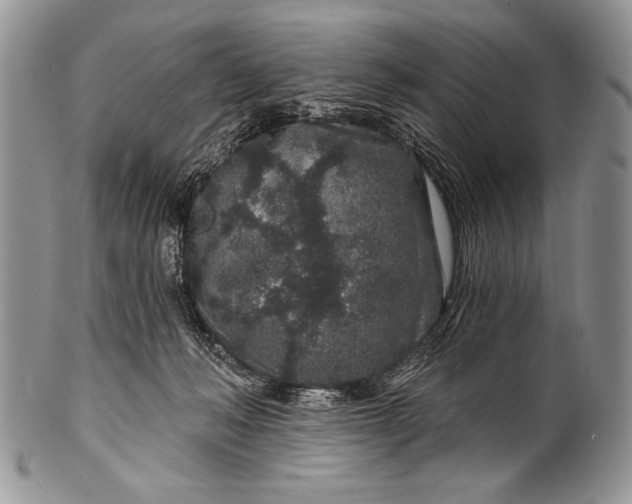 X0000100390222200806201721