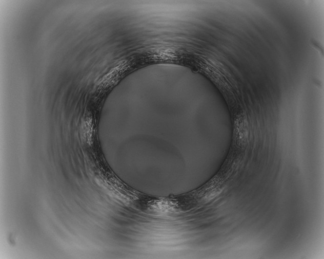 X0000100390223200806201721