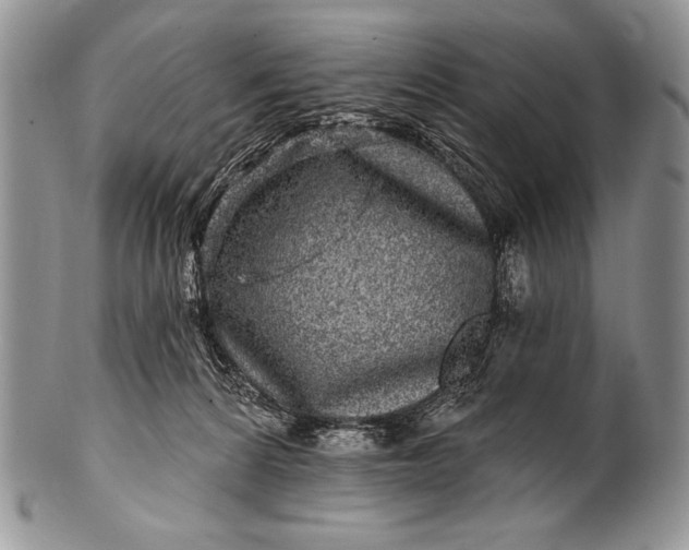 X0000100390224200806201721