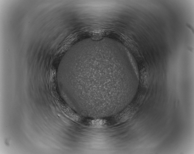 X0000100390225200806201721