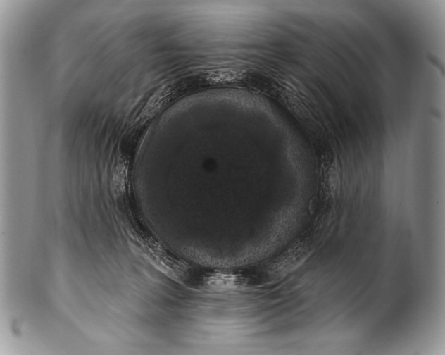 X0000100390227200806201721