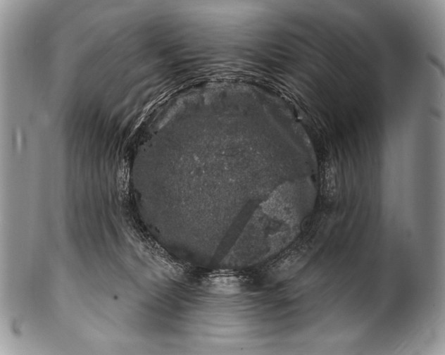 X0000100390228200806201721