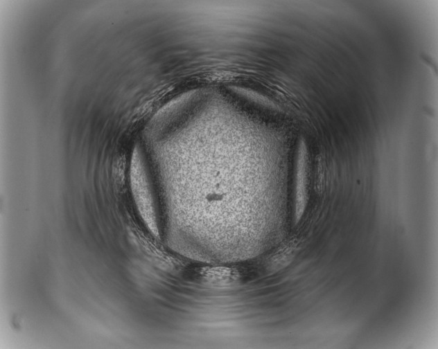 X0000100390230200806201721