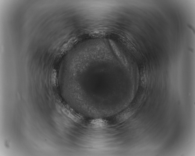 X0000100390231200806201721