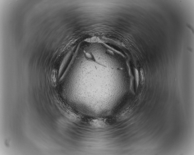 X0000100390232200806201721