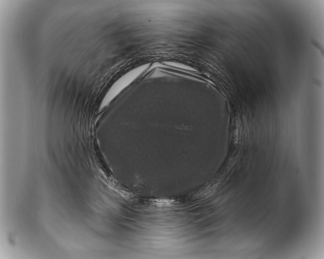 X0000100390233200806201721