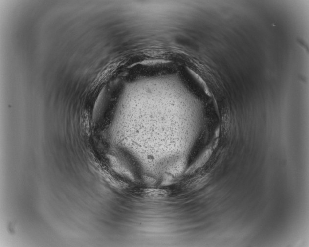 X0000100390234200806201721