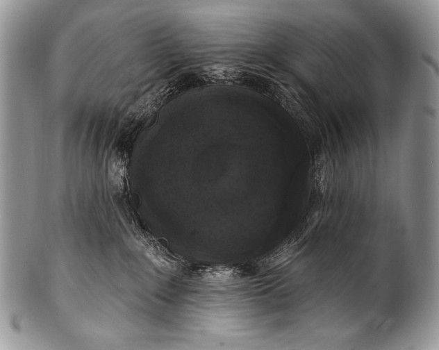 X0000100390235200806201721