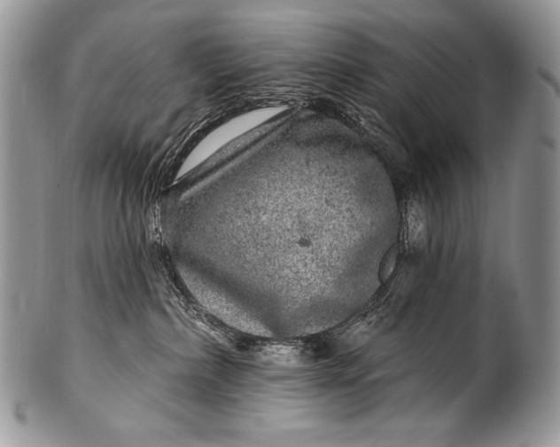 X0000100390236200806201721