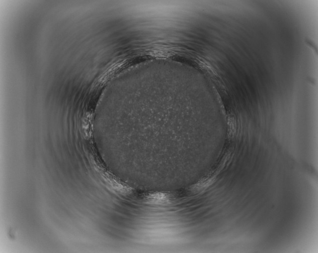 X0000100390237200806201721