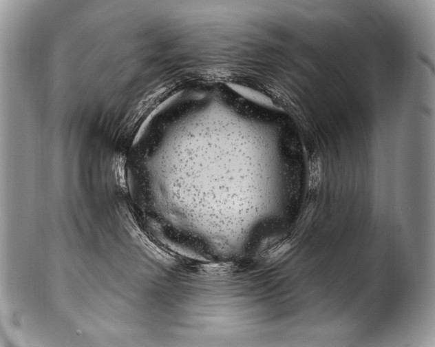 X0000100390238200806201721