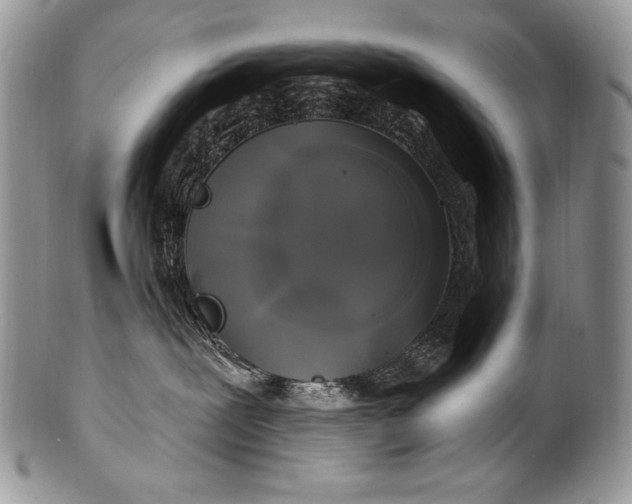 X0000100390239200806201721