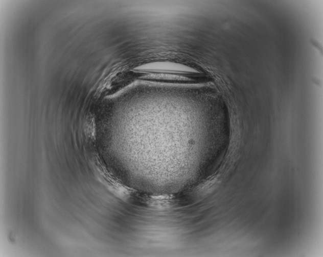 X0000100390240200806201721