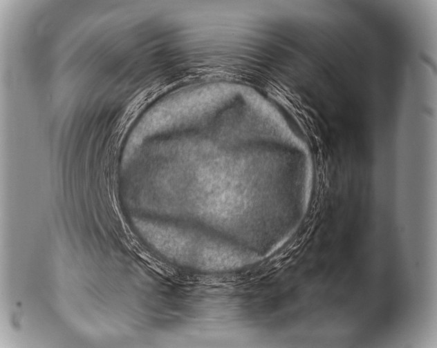 X0000100390241200806201720