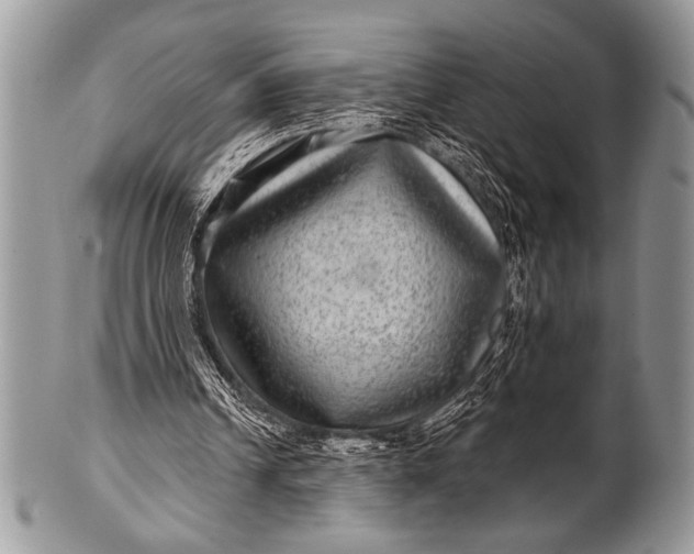 X0000100390242200806201720