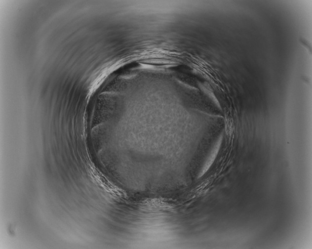 X0000100390244200806201720