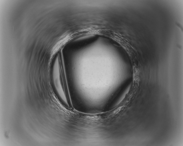 X0000100390245200806201720