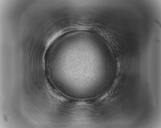 X0000100390246200806201720