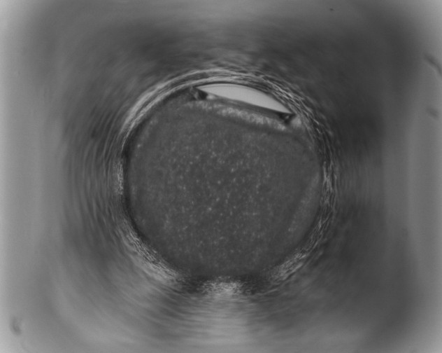 X0000100390247200806201720