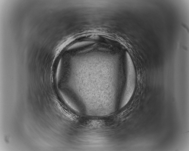 X0000100390248200806201720