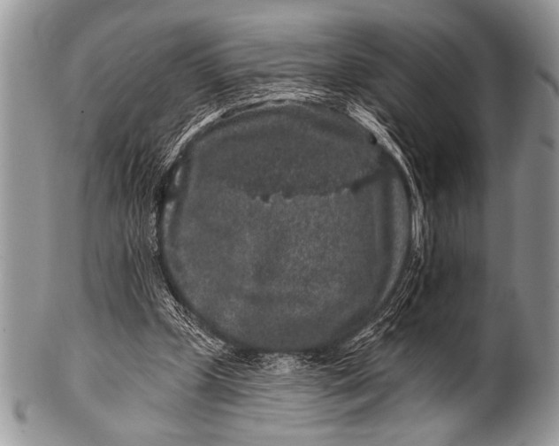 X0000100390249200806201720