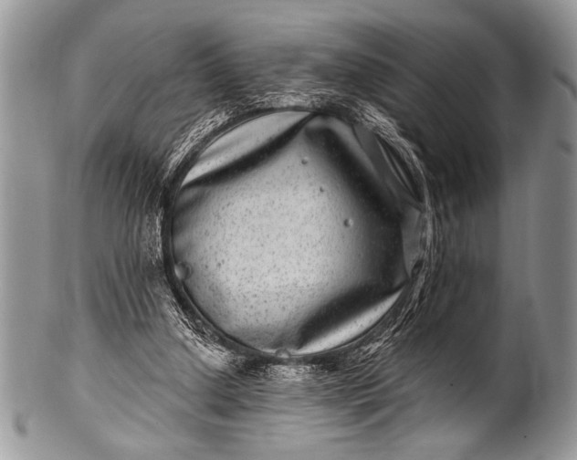 X0000100390250200806201720