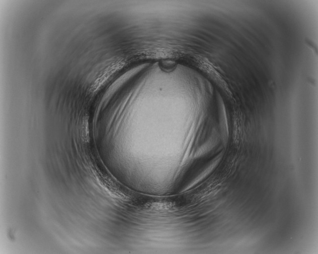 X0000100390251200806201720