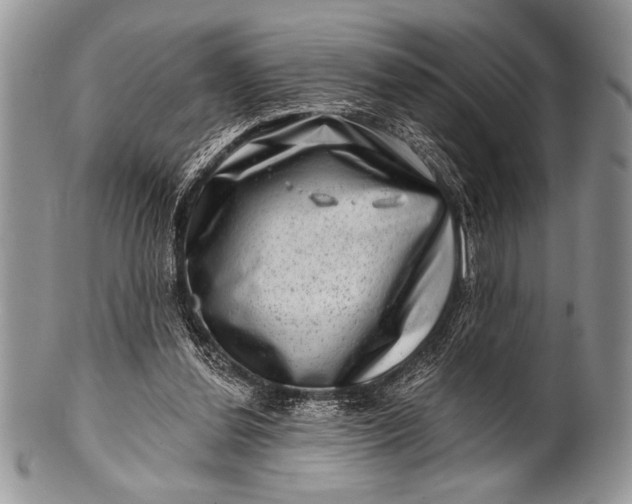 X0000100390252200806201720