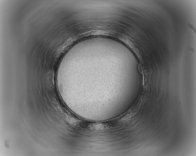 X0000100390253200806201720