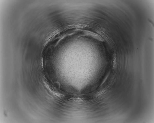 X0000100390254200806201720