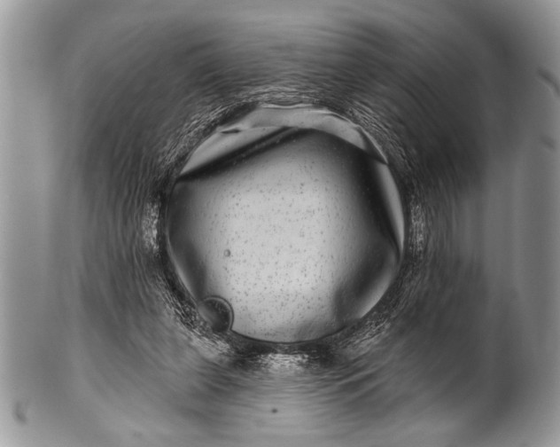 X0000100390255200806201720