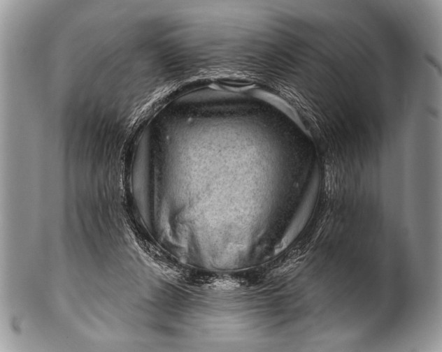 X0000100390256200806201720