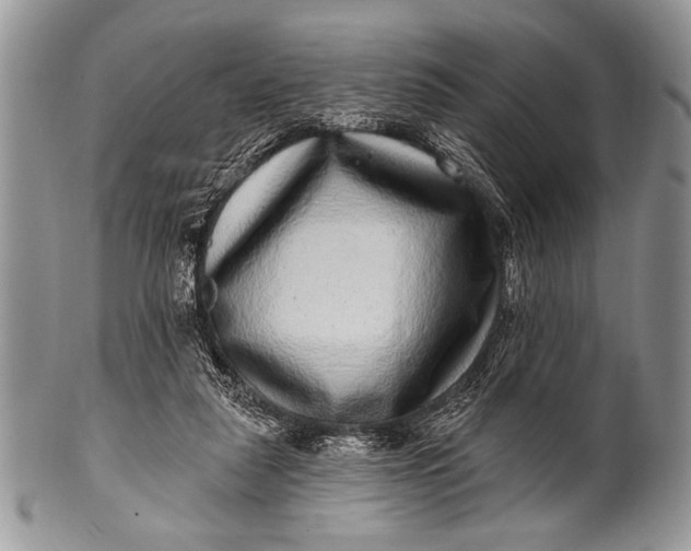 X0000100390259200806201720