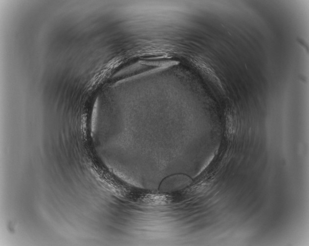 X0000100390260200806201720