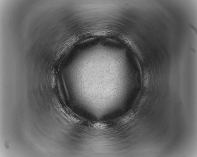 X0000100390261200806201720