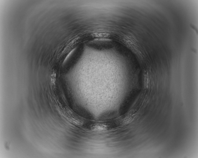 X0000100390263200806201720