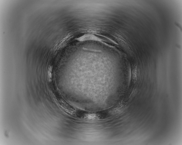 X0000100390264200806201720